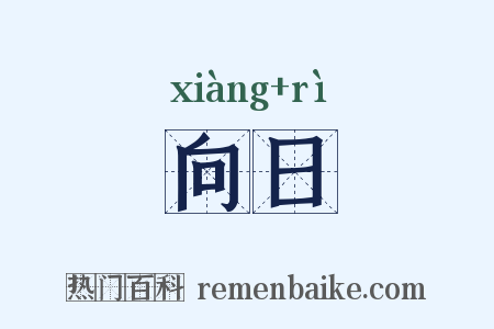 向日是什么意思的图片